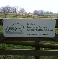 Abbey Equine Centre 260722 Image 0