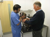 Abbeywell Veterinary Clinic 260978 Image 1