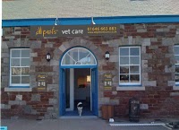 All Pets Vet Care 262695 Image 6