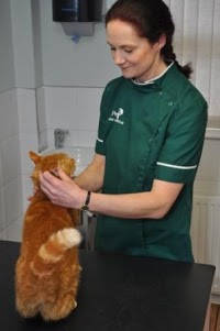Aston Clinton Veterinary Centre 262131 Image 3