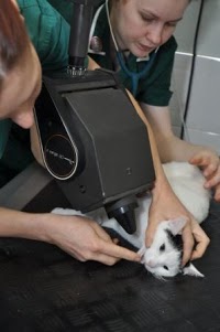 Aston Clinton Veterinary Centre 262131 Image 6