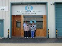 Avalon Veterinary Clinic 259645 Image 0