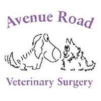 Avenue Road Veterinary Surgery 262829 Image 5