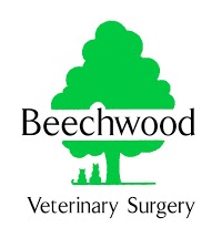 Beechwood Veterinary Surgery 260522 Image 2