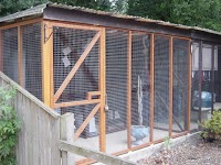 Bluehaze Cattery 261609 Image 2