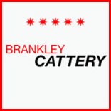 Brankley Cattery 262136 Image 0
