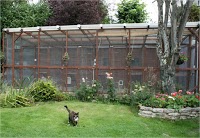 Bryony Cottage Cattery 263233 Image 0