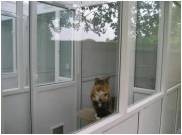 Clearwood Boarding Cattery 261698 Image 0