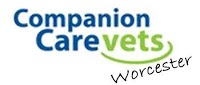 Companion Care Vets 261643 Image 5
