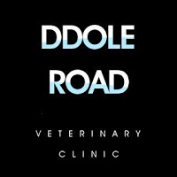Ddole Road Veterinary Clinic 263387 Image 0