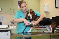 Drove Veterinary Hosptial Stratton Surgery 259940 Image 3