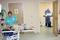 Drove Veterinary Hosptial Stratton Surgery 259940 Image 4