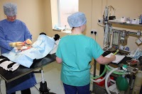Drove Veterinary Hosptial Stratton Surgery 259940 Image 5
