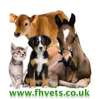 Forest House Veterinary Surgery 262210 Image 0