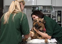 Hart Veterinary Centre Waddesdon 259977 Image 4