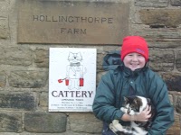 Hollingthorpe Farm Cattery 263441 Image 1