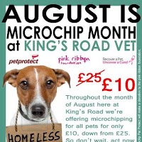Kings Road Veterinary Practice Ltd 263164 Image 3