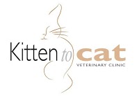 Kitten To Cat   Cat Only Clinic 259668 Image 7