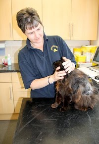 Middlewich Veterinary Surgery 259420 Image 1