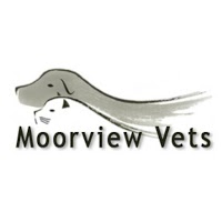 Moorview Veterinary Practice 262186 Image 0