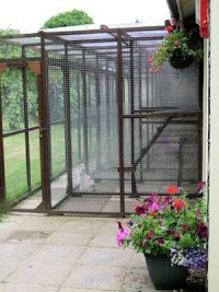 Orchard Boarding Cattery 262074 Image 4