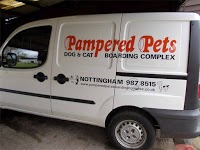 Pampered Pets Boarding Ltd 260130 Image 3