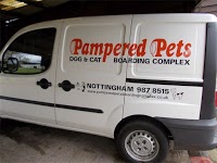 Pampered Pets Boarding Ltd 260130 Image 9