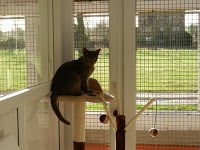 Park Cattery 263459 Image 1