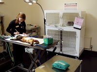 The Animal House Veterinary Surgery 263191 Image 2