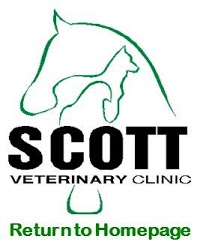 The Scott Veterinary Clinic 260556 Image 7