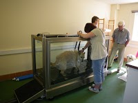 The Veterinary Therapy Centre 260501 Image 3