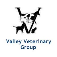Valley Veterinary Group 260424 Image 4