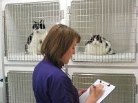 Abbeywell Veterinary Clinic 260978 Image 2