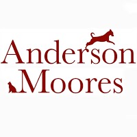 Anderson Moores Veterinary Specialists 262659 Image 5