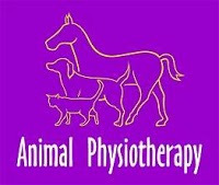 Animal Physiotherapy Ltd 262616 Image 0