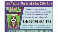 Ascot Pet Sitting and Dog Walking 262266 Image 1