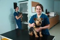 Ashwood Veterinary Clinic 263307 Image 3