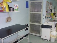 Ashwood Veterinary Clinic 263307 Image 5