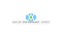 Avalon Veterinary Clinic 259645 Image 4