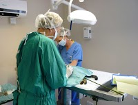 Barrow Hill Veterinary Centre 260436 Image 3