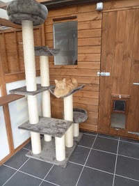 Bowring Park Luxury Cattery 262431 Image 0