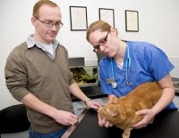 Cats Whiskers Veterinary Clinic (Worthing) 259951 Image 7