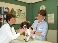 Cedar Grove Veterinary Clinic 262376 Image 5