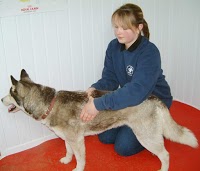 Chartered Veterinary Physiotherapy service 262140 Image 0