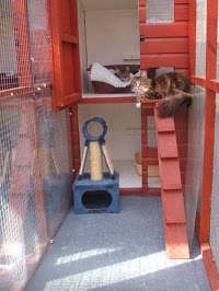 Comfy Cats Cattery 261161 Image 2