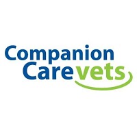 companion care vets high wycombe
