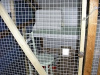 Cooks Castle Boarding Cattery 259914 Image 2