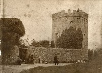 Cooks Castle Boarding Cattery 259914 Image 9