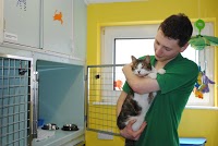 Daisy Street Veterinary Centre 259621 Image 4