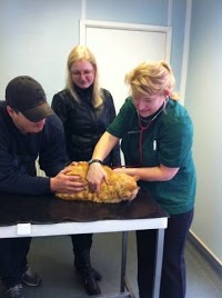 Forest Veterinary Surgery 263057 Image 0